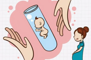 试管婴儿鲜胚vs冻胚哪个成功率高？有哪些区别？