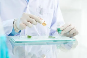 试管婴儿着床的秘诀你知道吗