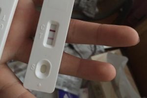 试管婴儿胚胎着床这段过程，我的真实感受分享！