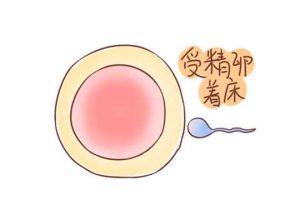 试管婴儿着床后还会流产吗？