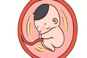试管婴儿不着床原因有哪些？