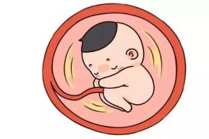 试管婴儿移植着床感觉有哪些是成功的征兆