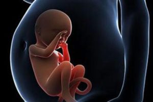 试管婴儿刚怀孕注意什么能保证健康发育？