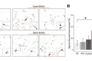 精子少或质量差，还能自然怀上宝宝吗
