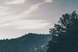 如何知道怀的是双胞胎？身体的5大症状早已告诉你了