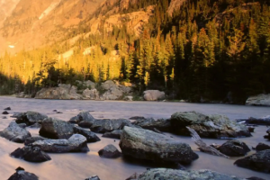 4种容易导致不孕的子宫疾病，你都造吗？