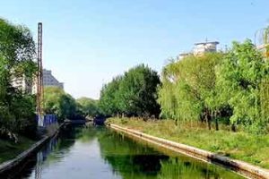 是什么引起多囊卵巢综合征？日常护理办法是什么？