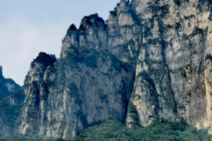 澳洲奶粉哪个牌子好？4种奶粉，80%的明星宝宝都在吃。