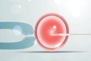 惠州单身女人可以做试管婴儿吗