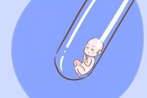 东莞单身试管婴儿费用