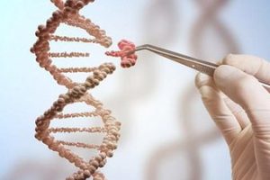 佛山单身女人可以做试管婴儿吗
