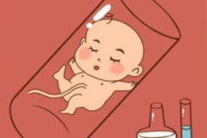 珠海单身男试管婴儿费用多少钱