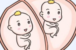 珠海单身女性可以做试管吗