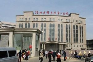 中山单身可以做试管婴儿吗