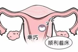 深圳单身男性试管多少钱