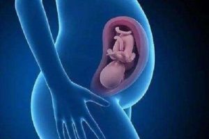 深圳单身试管婴儿费用
