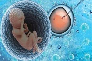 精子质量差导致不孕做试管婴儿行不行？哪些因素会影响精子质量导致不孕？