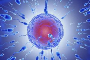 为什么现在不孕不育患者都选择试管婴儿助孕？如何选择一个合适的助孕试管婴儿医院？