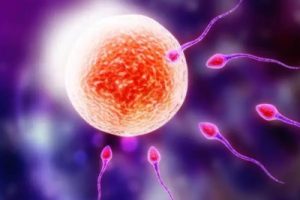 什么情况下需要做试管婴儿？不孕不育去做试管婴儿会有年龄限制吗？