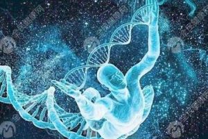 女性不孕之多囊卵巢试管婴儿通常几次成功