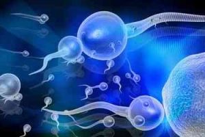 做试管婴儿能解决不孕不育疾病吗不孕不育由什么滋生的
