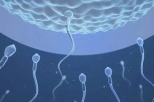 月经异常不孕女性可以选择试管婴儿助孕