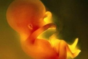 生育知识·排卵障碍不孕3年多了能去通过惠州试管婴儿助孕医治吗