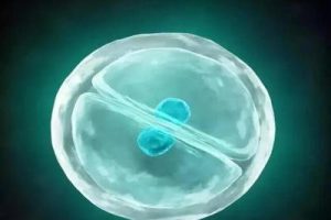 哪类不孕不育患者适合做深圳试管婴儿