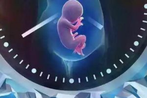 女性不孕后可以做惠州第一代试管婴儿吗