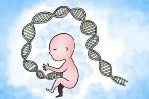 子宫内膜异位症不孕适合深圳试管婴儿辅助生育吗