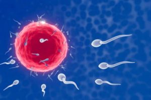 子宫内膜薄影响怀孕吗适合深圳试管婴儿辅助生育吗
