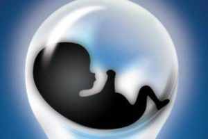 嘉运国际解析：试管婴儿流程全知道，让您心中有数