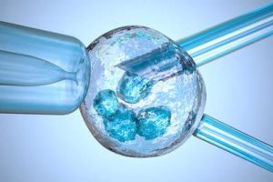 2025成都试管婴儿流程是怎样的？