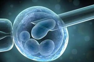 2025昆明试管婴儿流程详细攻略