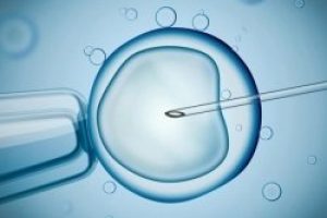 2025福州试管婴儿完整流程是什么？