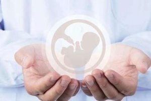 深圳试管婴儿流程