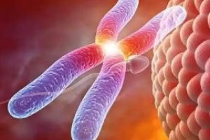 试管婴儿的预产期，是从取卵日算还是移植日算？