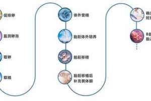 胚胎着床失败反复？可能是这些原因在作祟
