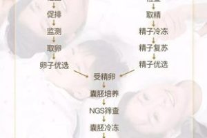 卵巢早衰，AMH仅0.6，我如何通过试管当上妈妈？