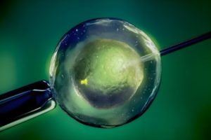 试管医治过程中哪些阶段不宜啪啪啪