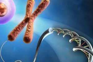 多囊卵巢综合征久备难孕可以做中山试管婴儿医治吗