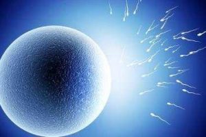 备孕遇到性功能障碍怎么办可以承受深圳试管婴儿医治吗