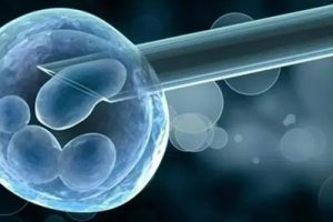 不明原因流产过在佛山试管移植后该怎么保胎