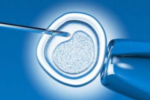 做深圳试管婴儿助孕为什么不建议盲目追求双孩