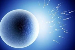 子宫内膜偏薄原因是什么可以选择深圳试管婴儿医治吗