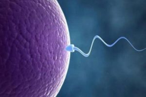 前列腺炎症会滋生什么症状能否做中山试管婴儿助孕