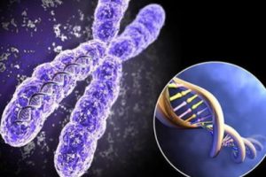 为什么在胚胎移植后黄体支持这么重要