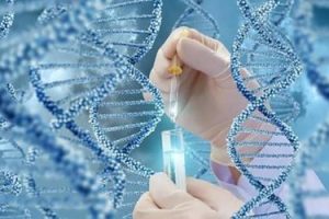 得了子宫内膜息肉适合中山试管婴儿医治吗