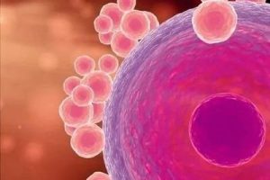 珠海试管婴儿医治遇到阴道炎会不会有什么影响