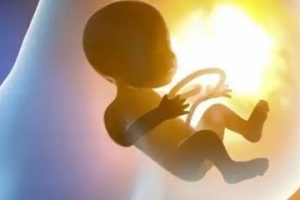 卵泡发育不良表示形式是什么能否通过潮州试管婴儿助孕